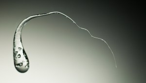 Rupert's Drop exploding